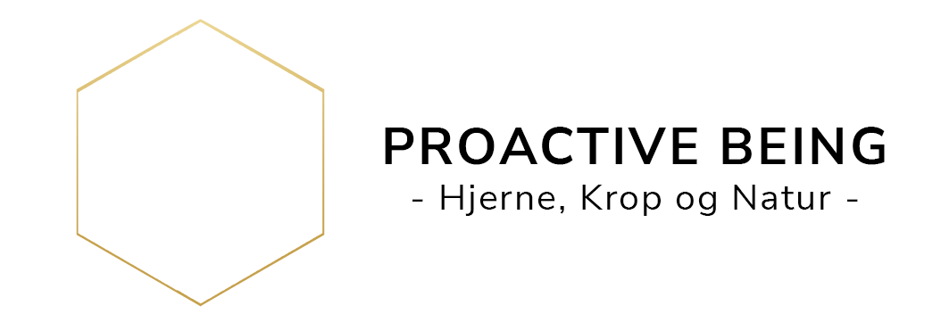Proactive Being I Kultur, Lederskab & Coaching